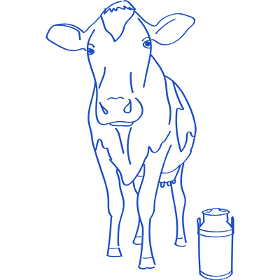 Level-headed, clear thinking and practical. ~ May rely on routine, lack new ideas, and miss or block opportunities to innovate.
